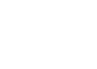 307 Vodka